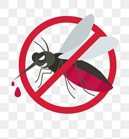 Mosquito Protection