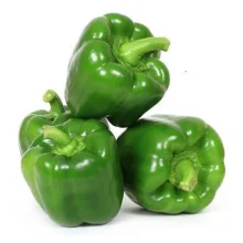 Shimla Mirch Capsicum